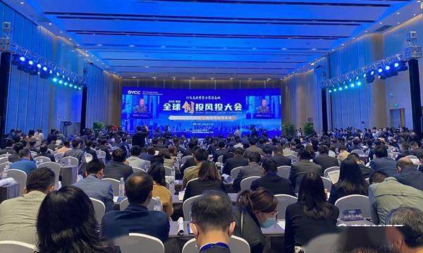 被个收理引布东约风投时可及手节共